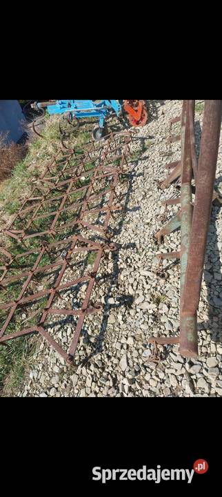 Brony 3ki grudziadz małopolskie Nowy Sącz