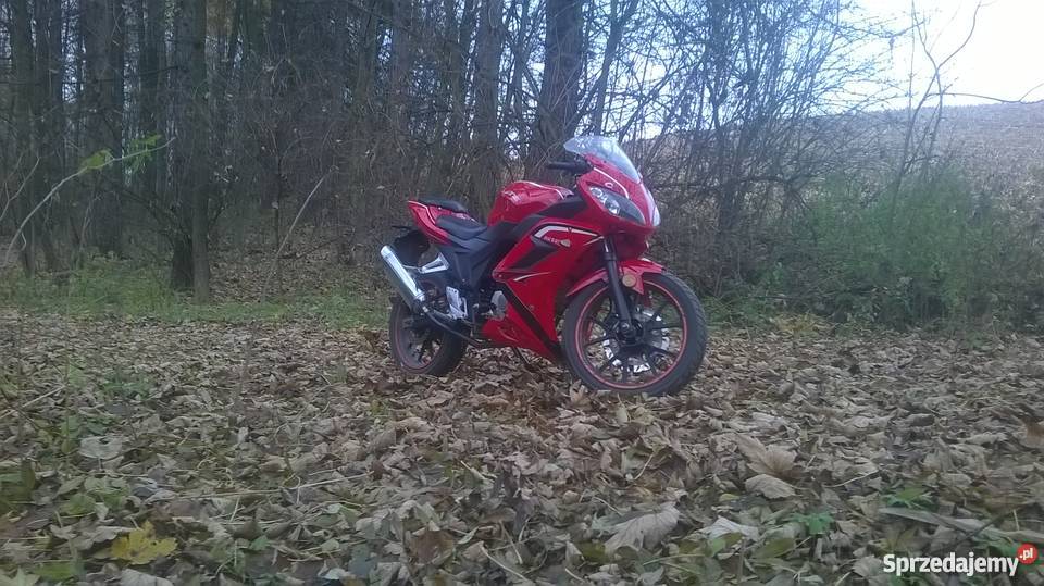 Leone RK50s 12550 Łękawa