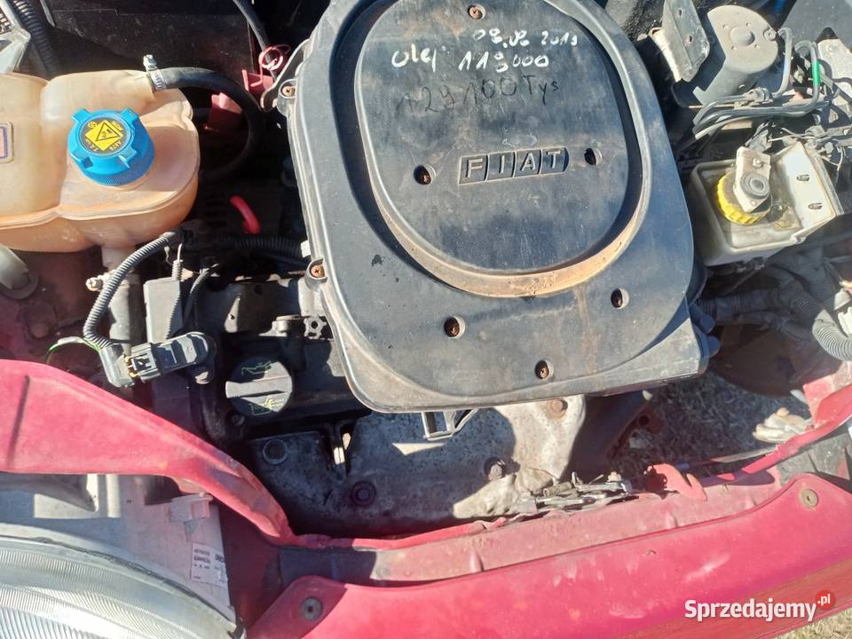 Seicento 600 Kołodziejowy Grąd