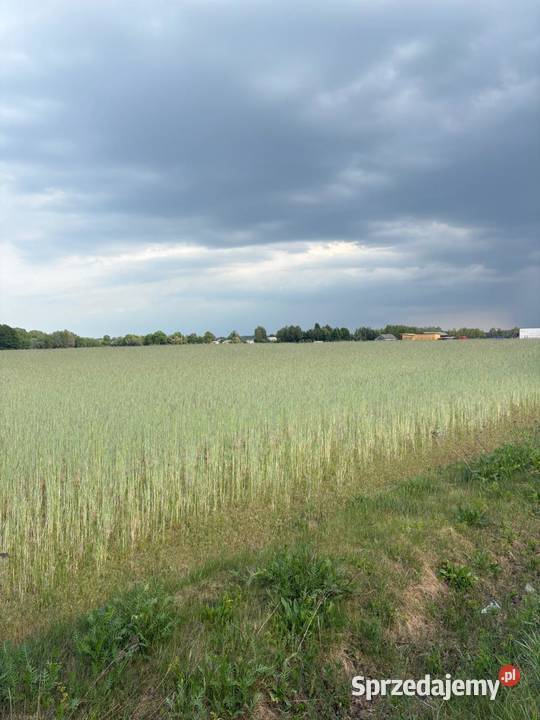 Działka budowlana WZ mKownay gmPłońsk szybki Warszawa