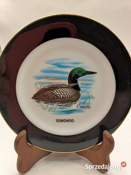 Talerz z Canady Toronto ptak kaczka Zamość