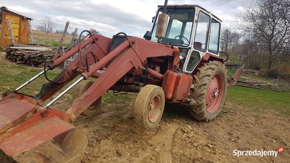 JUMZ MTZ 82 Tur Ostrówek Ciągniki Ciągniki sprzedam