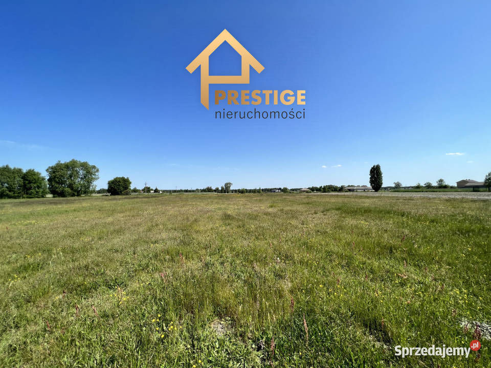 Działki budowlane w Białej Panieńskiej gmRychwał wielkopolskie Biała Panieńska