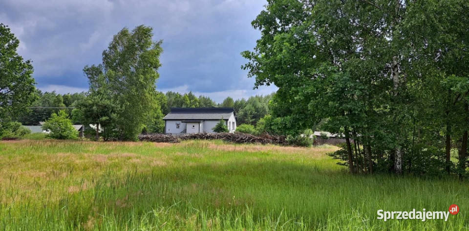 Sprzedam piękną działkę 6000 m2 Cisza i spokój