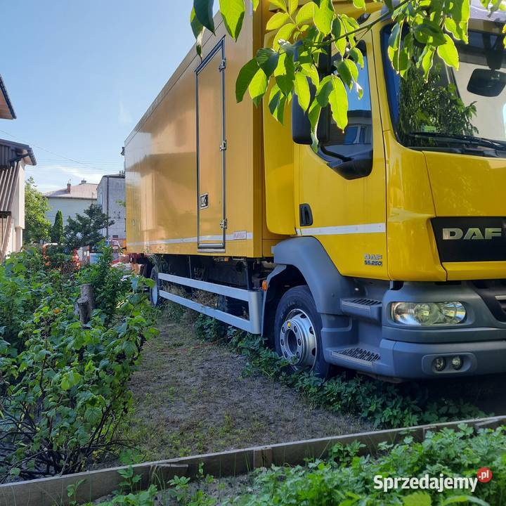 DAF LF55250 Kontener z windą 18 palet gotowy do kupiony w salonie Raszyn