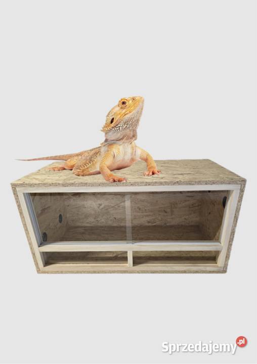 Terrarium z płyty osb 80x40x40 front drewniany Pięczkowo