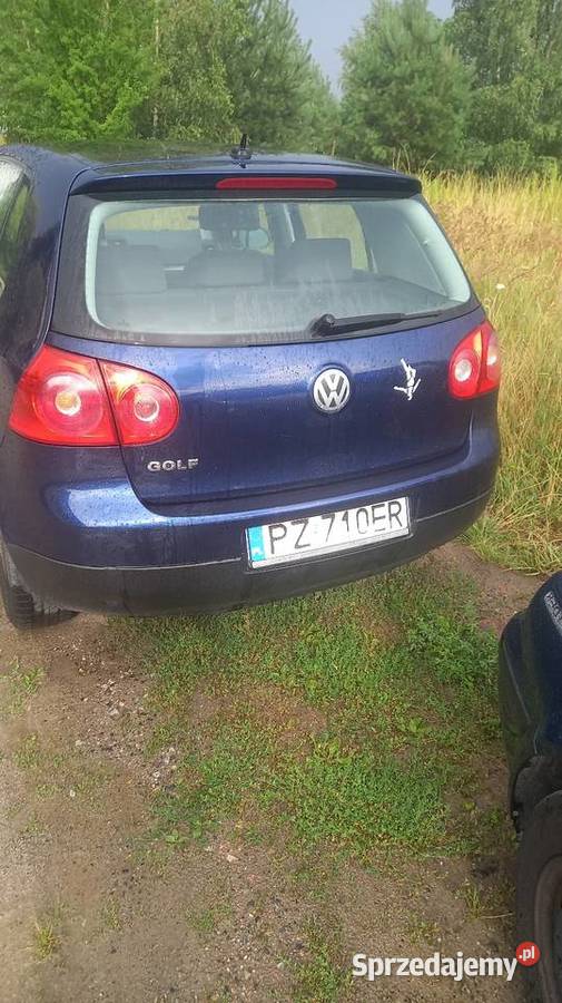 Golf 5 benzyna 14 75KM Śrem