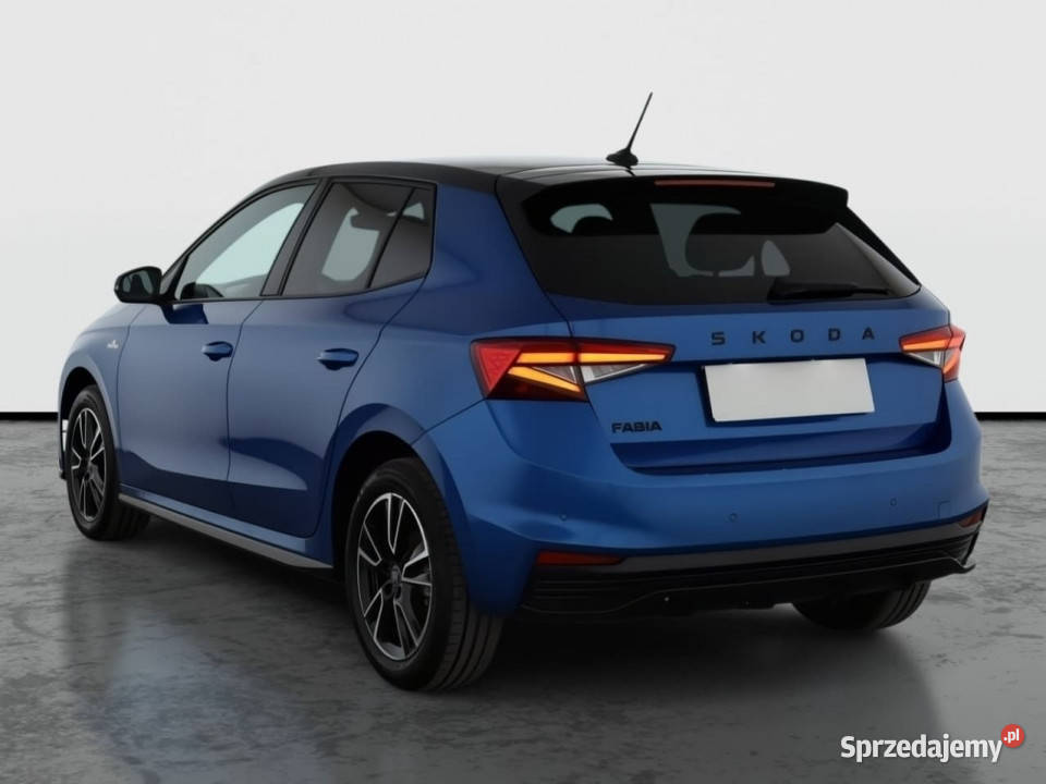 Skoda Fabia 10 TSI Fabia