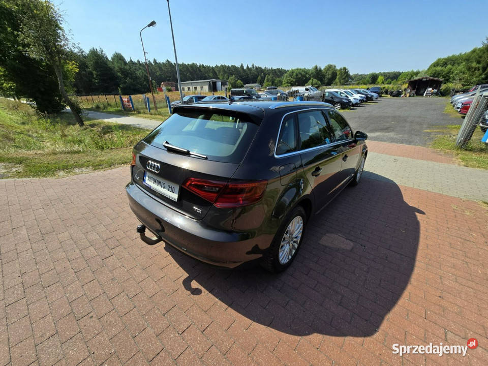 Audi A3 Audi A3 16 tdi Sportback 110 z niskim 4/5 Cielcza