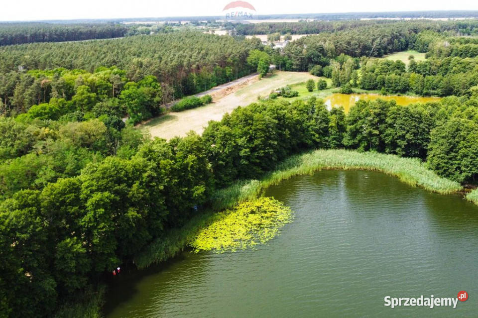 Działka jeziorze Pniew sprzedam