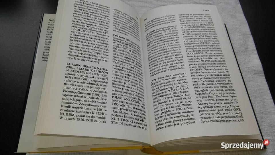 Mały oksfordzki słownik historii świata w XX Gdańsk