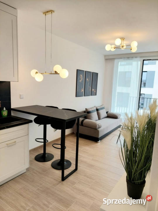 Komfortowe mieszkanie na wynajem Kraków Telimeny sprzedam