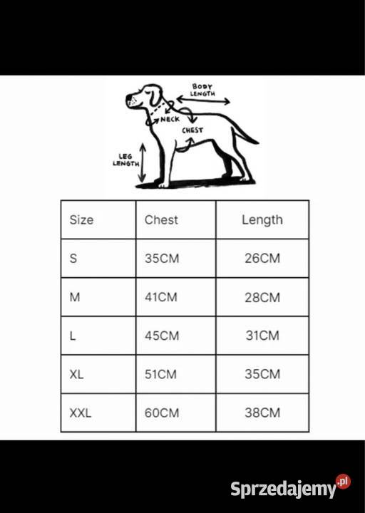 Nowa bluza ubranko psa Dior XS mazowieckie Warszawa
