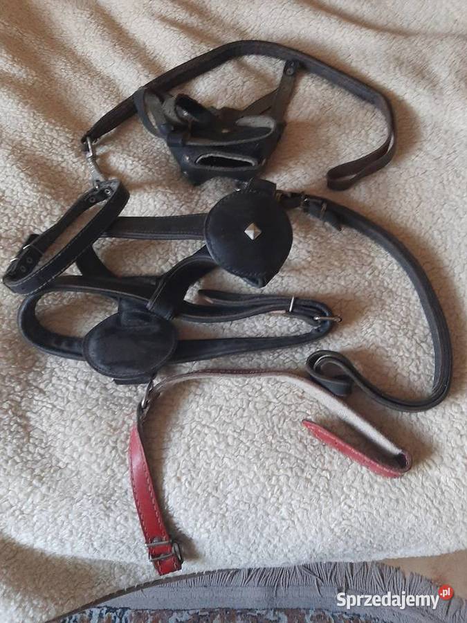 Akcesoria psa Otwock