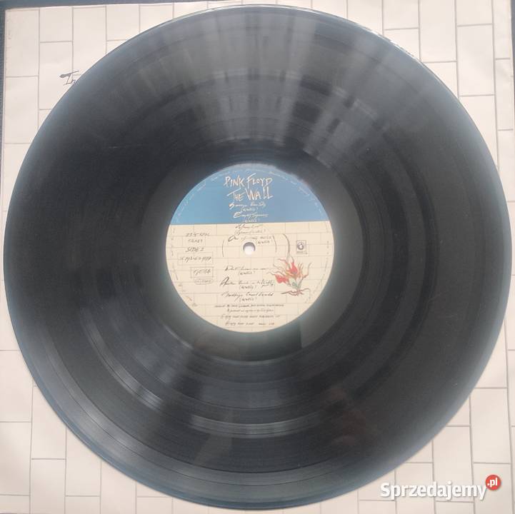 Płyty winylowe zespołu Pink Floyd płyta winylowa Białystok
