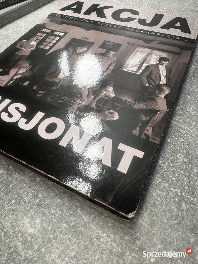 Płyta DVD Akcja Pensjonat Historyczny pejzaż DVD i Blu-ray podkarpackie Jasło
