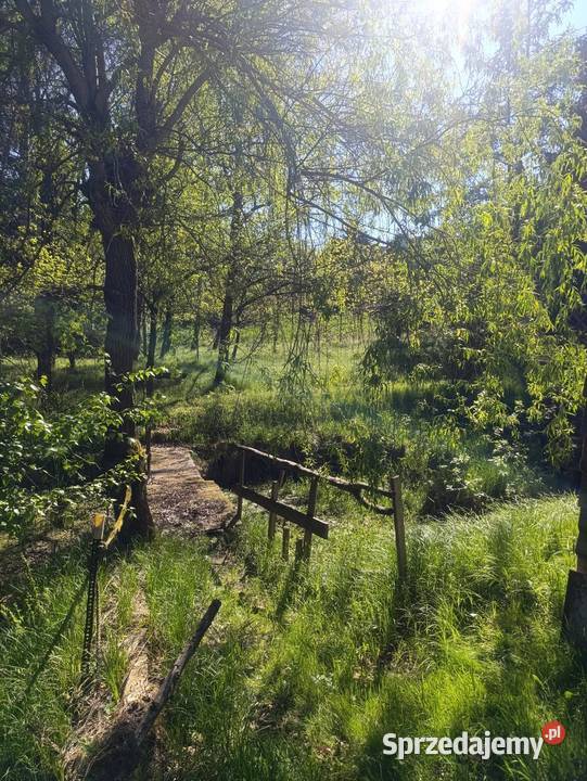 Domek w LESIE do wynajęcia Głogoczów k Kraków