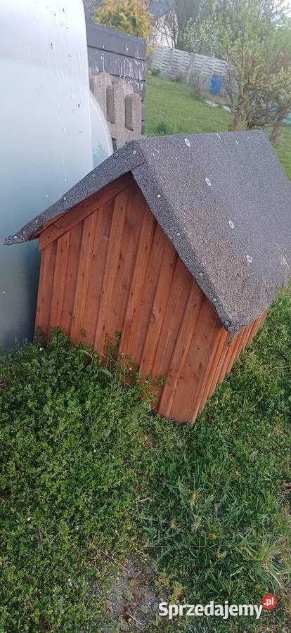 Buda psa Zwierzęta Kielce