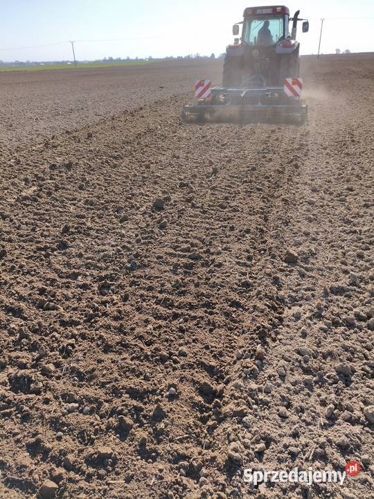 Bezorkowiec czterobelkowiec rabe lubelskie Motycz