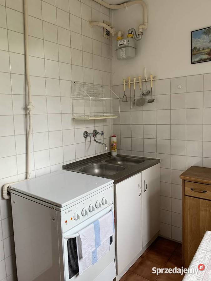 Wynajmę mieszkanie 3 pokoje 57 m3 LSM koło wielka płyta