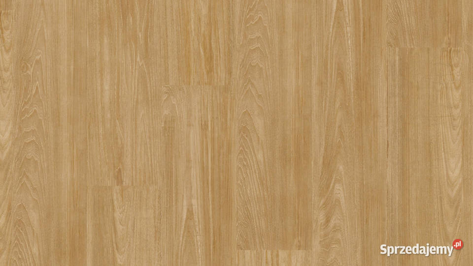 TARKETT Podłoga winylowa Patina Ash Warm Natural lubuskie Zielona Góra