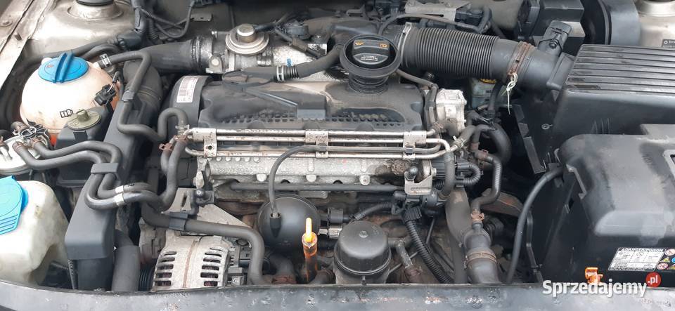 skoda oktavia 1 nowości Warszawa