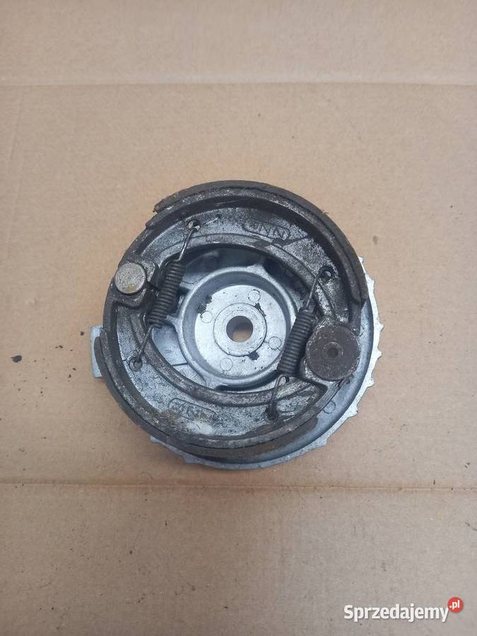 Szczekotrzymacz zak ryś Sokołów Podlaski