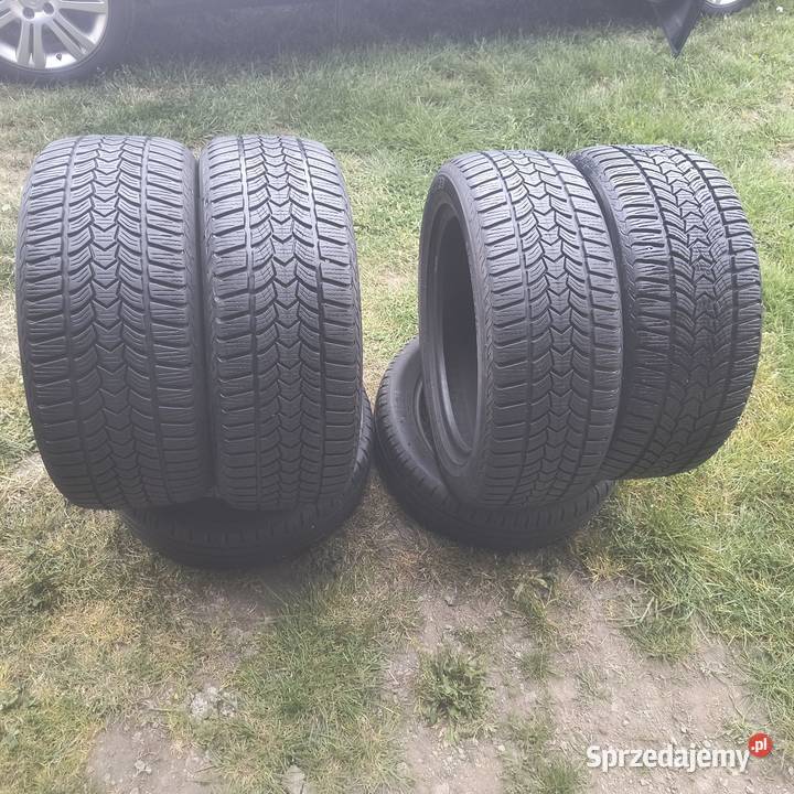 Opony zimowe Dębica r17
