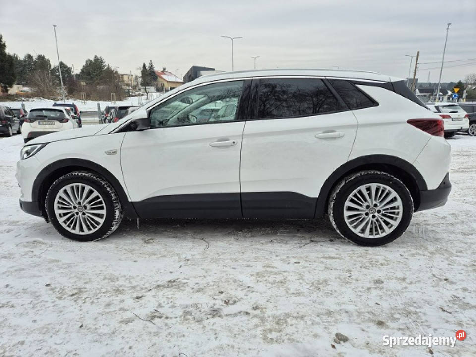 Opel Grandland X Najbogatsza wersja Skora Model