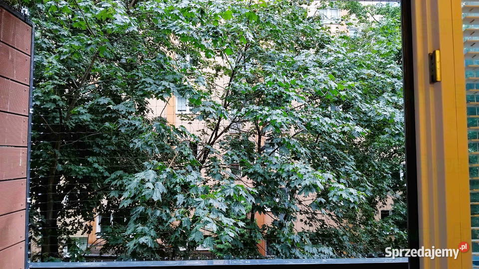 Siatka na balkon kota że stelażem Warszawa