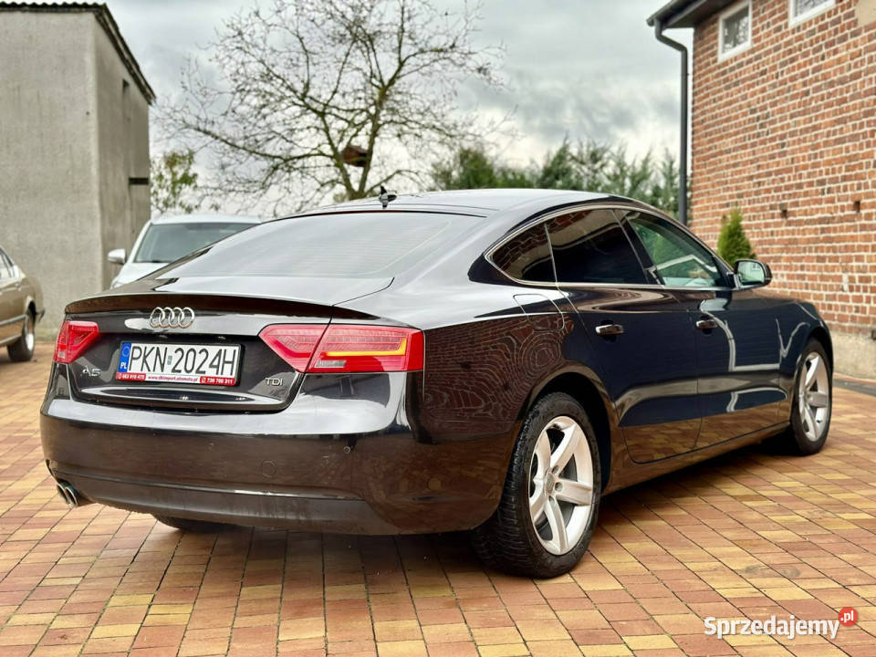 Audi A5 Zweryfikowany CarVertical 8T 20072016 Sadlno