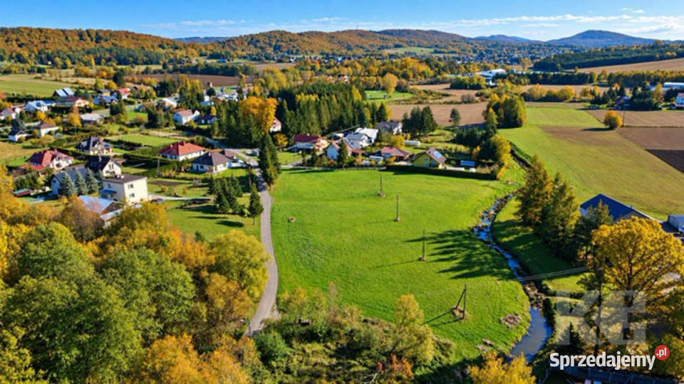 Działka na sprzedaż Humniska 8113m2 8113m2