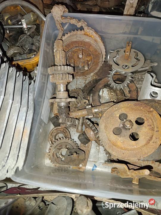 Panonia wał skrzynia kopniak Pozostałe Kielce sprzedam