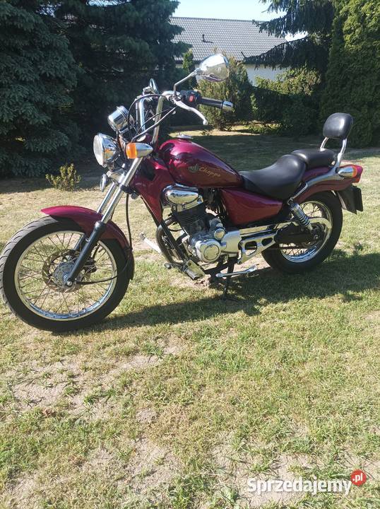 Chopper rex 125 125cm3 Chełmno
