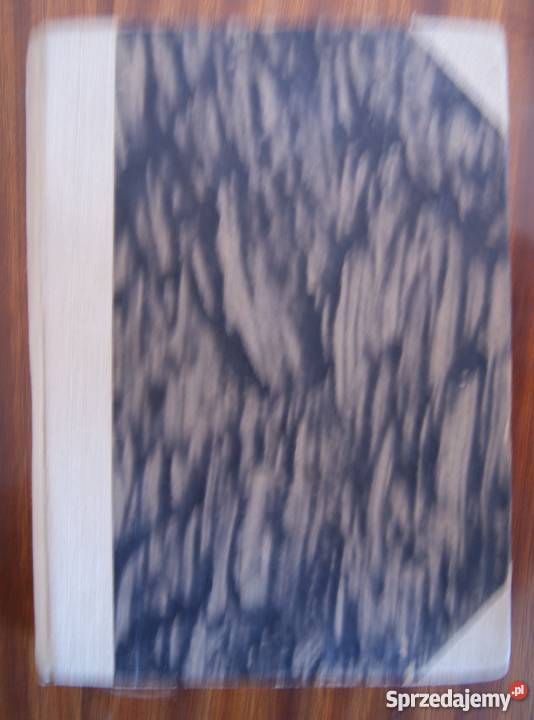 Halina Górska Druga brama 1949 Rok wydania 1949 Parczew sprzedam