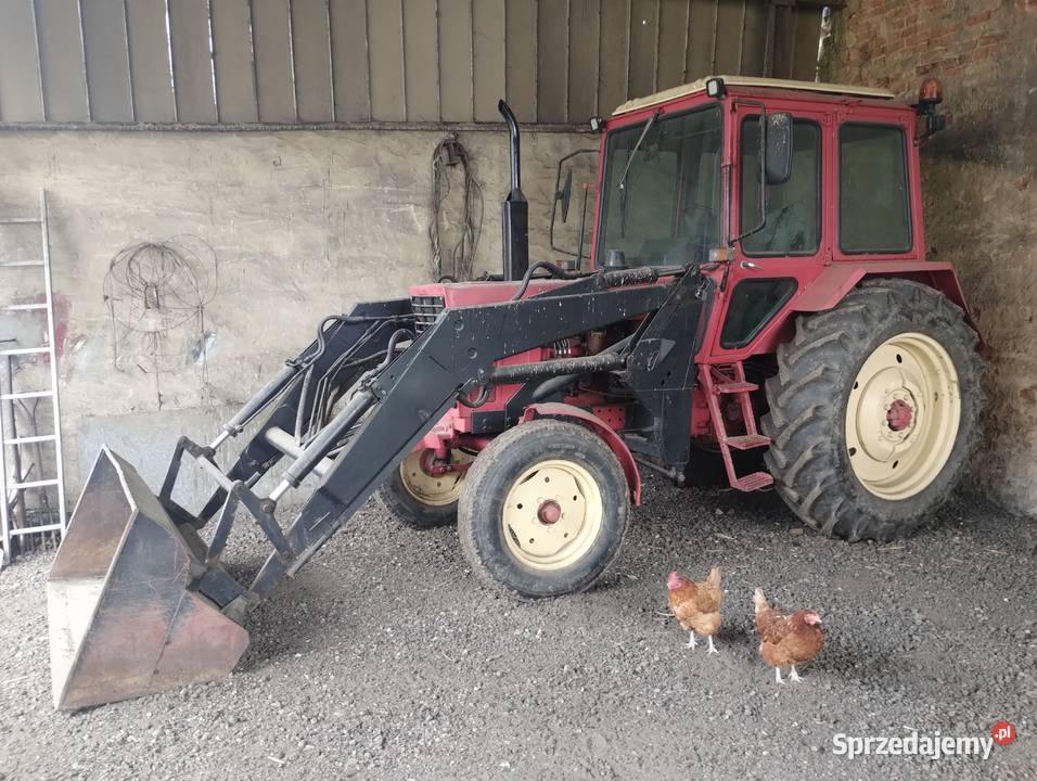 Belarus 550 MTZ opolskie Śmicz