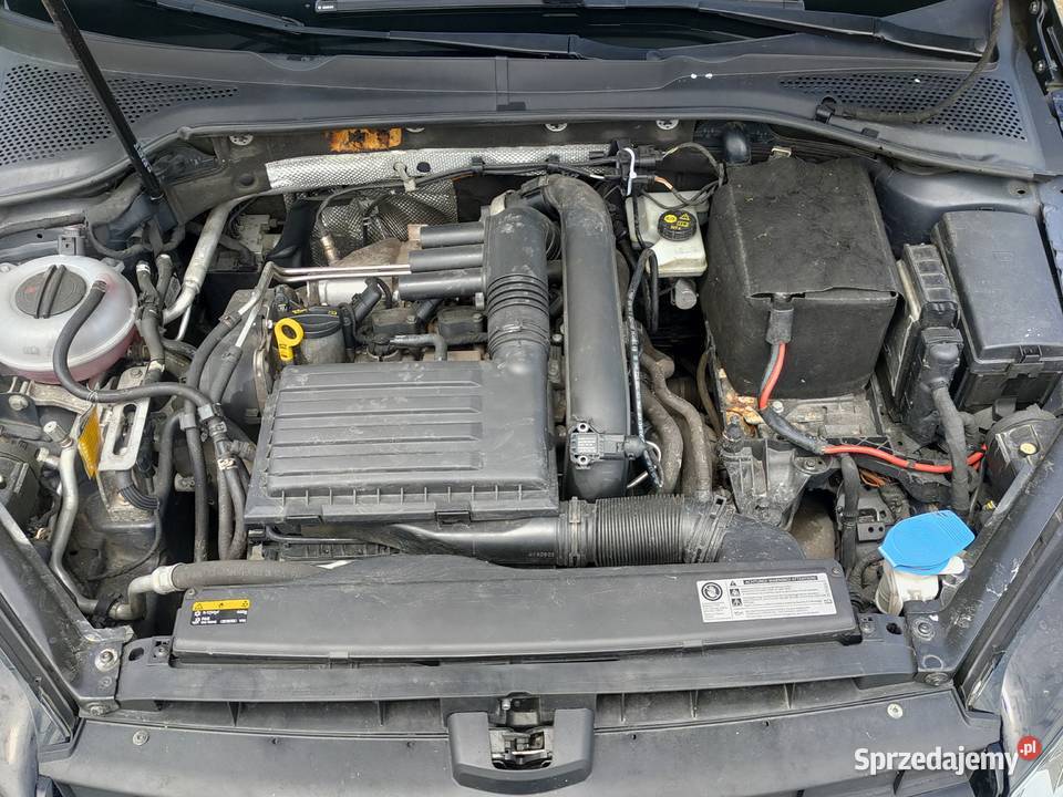 Golf VII 14 tsi Węgrów