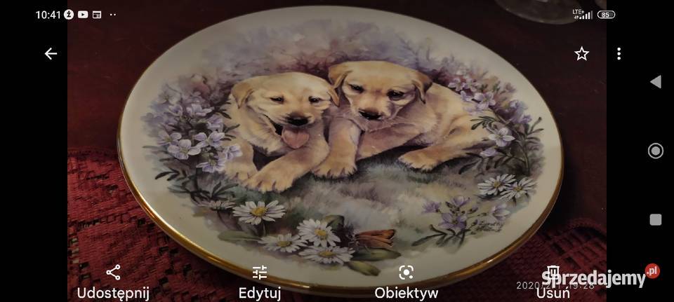Piękny talerz kolekcjonerski Pieski porcelana Wrocław