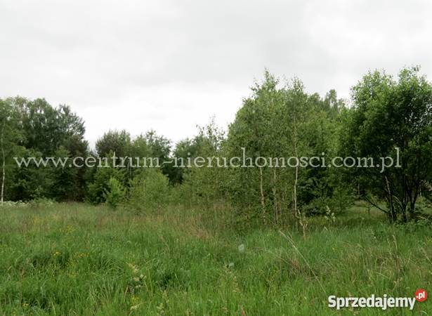 Działka rolnobudowlana Osęczyzna 4700m2 Osęczyzna