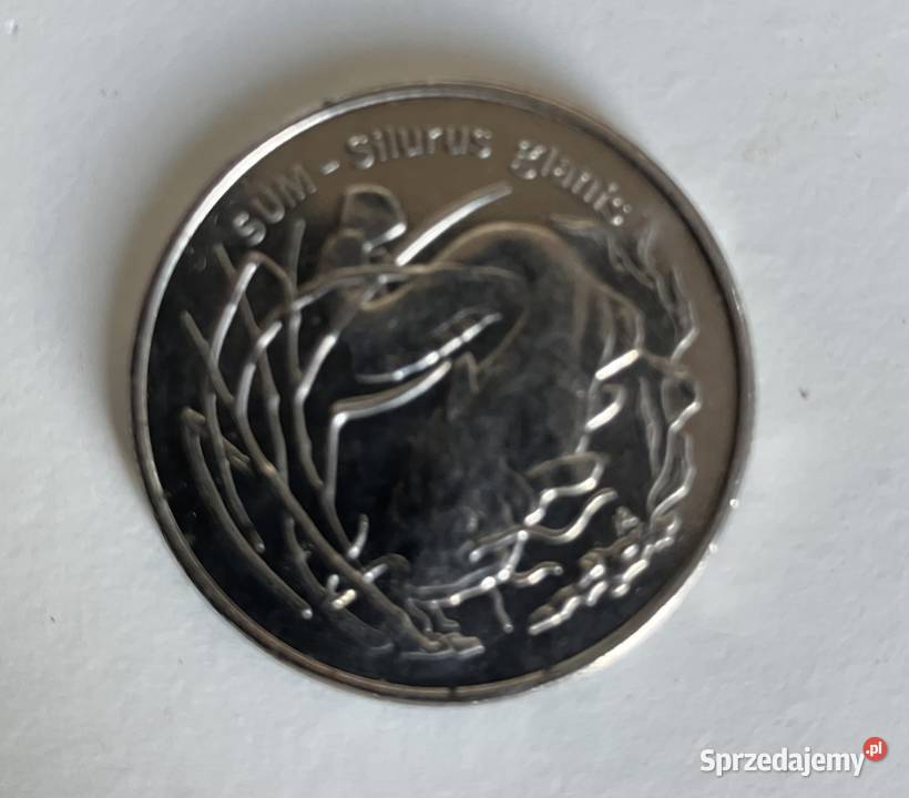 moneta 2 SUM lubuskie Gorzów Wielkopolski