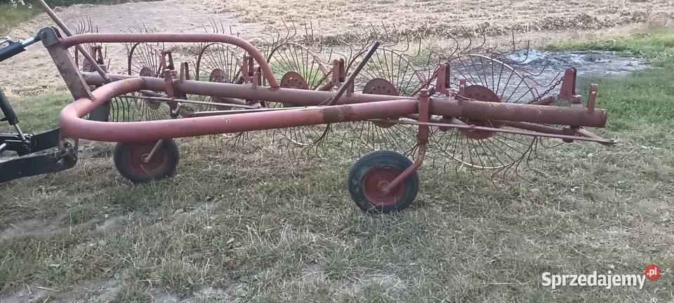 Zgrabiarka do fasoli lubelskie Hrubieszów