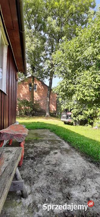 Siedlisko na spokojnej wsi duża działka z domem Wasiły-Zygny sprzedam