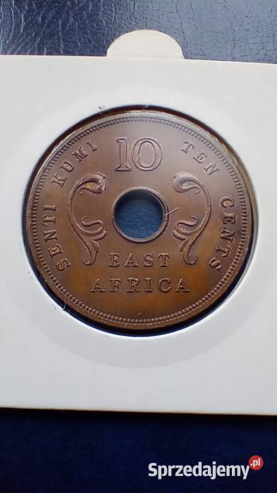 Stare monety 10 cent 1964 Brytyjska Afryka Lesko sprzedam