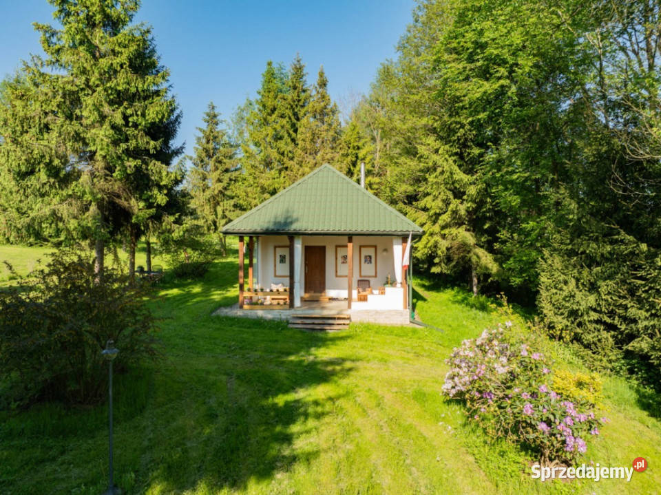 Klimatyczny dom wśród zieleni 9700 m Chronów 8823zł/m2 Sprzedaż sprzedam