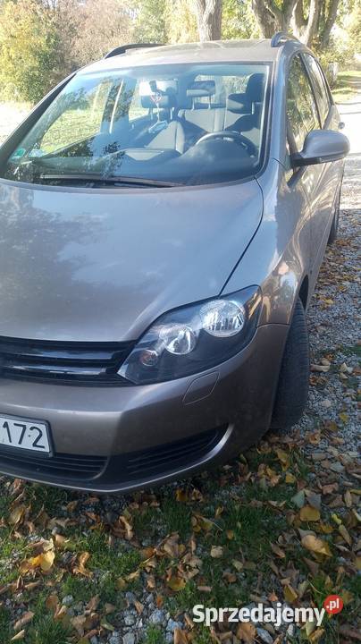 Volkswagen Golf plus niski przebieg 74 Golf Plus Krotoszyn
