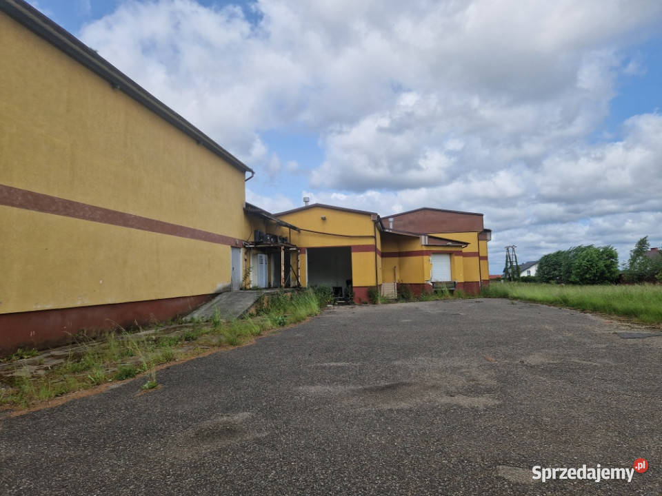 Syndyk sprzeda Nieruchomość w Zbychowie 2959m2 Zbychowo