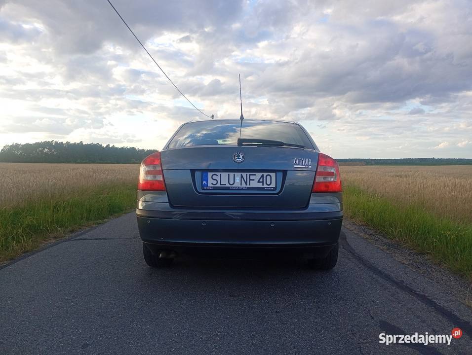 Skoda Octavia 19tdi 105 polski salon diesel Lubliniec