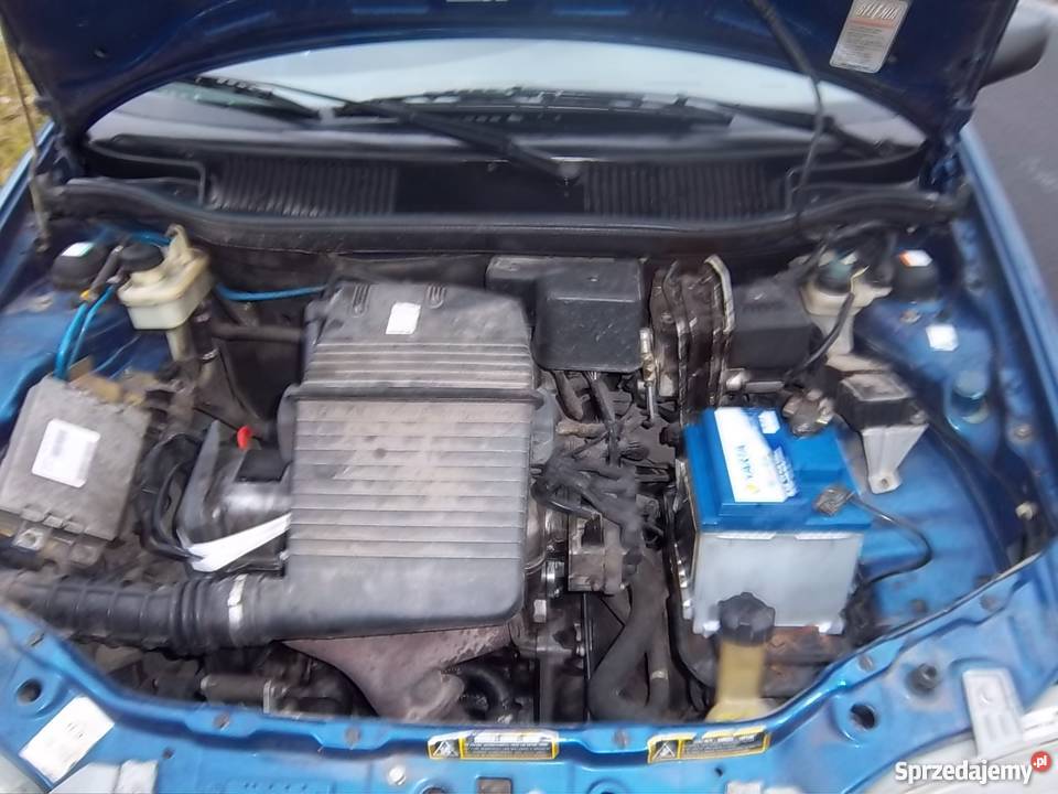 Fiat Punto ocynk wspomaganie ABS OC do 15102018r 1200cm3 Pobiedziska