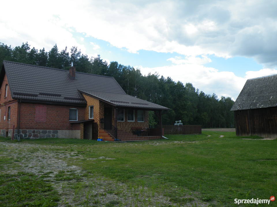 Domek pod lasem w Borach Tucholskich 8111zł/m2 kujawsko-pomorskie Brzozie