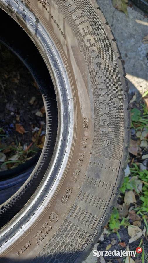 21560R16 95H Continental ContiEcoContact 5 Myszadła